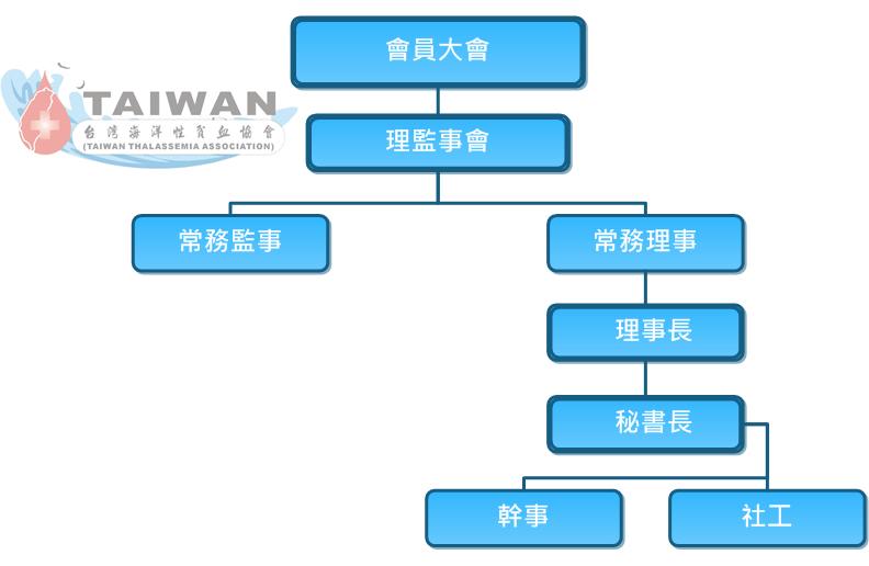 台灣海洋性貧血協會組織架構圖